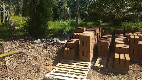 Fase de cimentación de una casa ecológica: sobrecimiento de bloques sobre piedra entre árboles